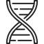 imagen de ADN.